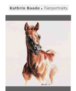 Kathrin Baade Tierportrais