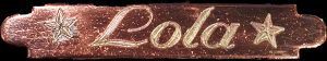 Halfterschild Roségld 60, 70mm Portofrei & Kostenloser Wunschgravur